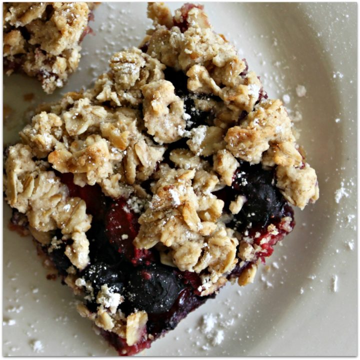 Mix-in-the-Pan Berry Oats Bars - from CheapskateCook.com