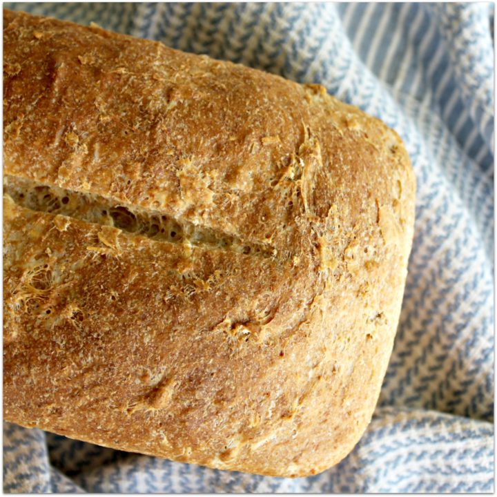 Easiest Bread Ever - from Cheapskate Cook