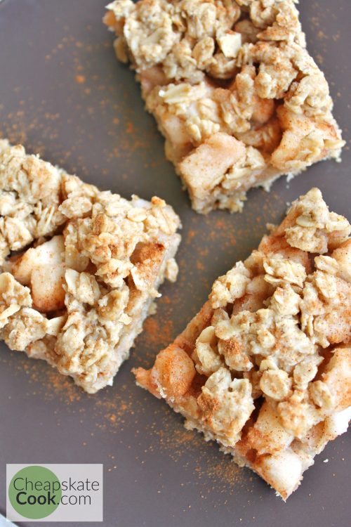 Frugal Holiday Dish - Apple & Oat Bars