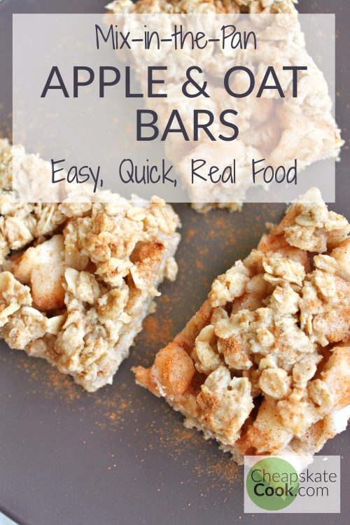 Apple & Oat Mix-in-the-Pan Bars - like Apple Crisp grew up and got classy. Still quick to make, full of real food (whole grains, sweetened with maple syrup), and makes the perfect Fall dessert. - Gluten-free, dairy-free, egg-free, and vegan options. From CheapskateCook.com
