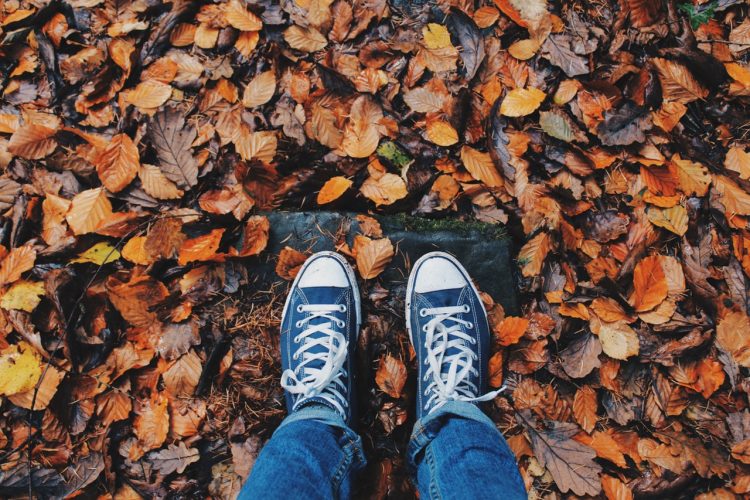 sneakers and fall leaves