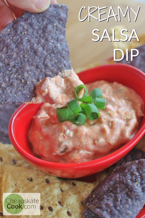 2-Ingredient Creamy Salsa Dip - Possibly the easiest crowd-pleasing real food dip. No fuss, no measurements, and sure to please the pickiest eaters. Perfect for game day or the next family gathering! Gluten-free too! From CheapskateCook.com.