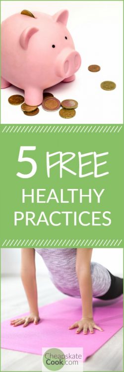 5 Healthy Practices that are Completely Free - When you're trying to save money and eat healthy, your resources are precious, and the tools you use are key. Over the years, I've learned how to choose free healthy practices that take care of both my body and my mind. From CheapskateCook.com