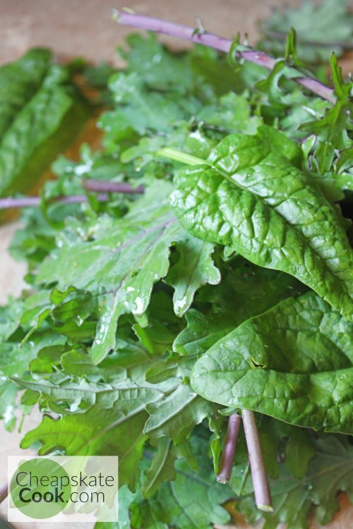 pile of spinch and kale ready to freeze