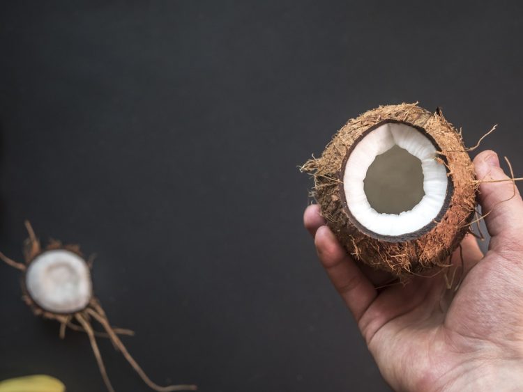 coconut cut open