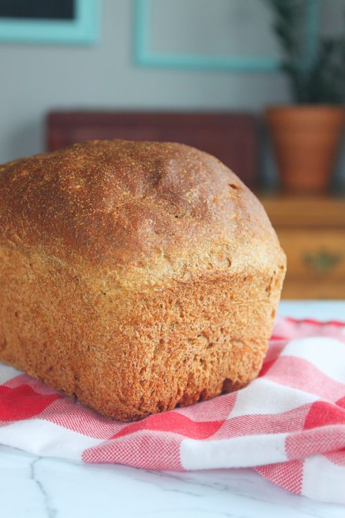 bread with a cloth napkin