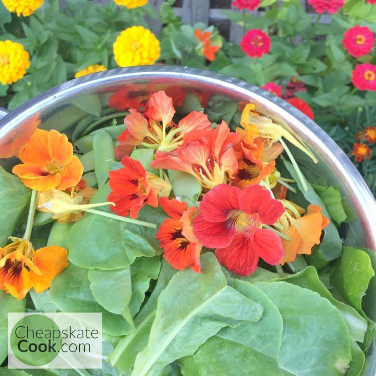 flowers and lettuce in a bowl