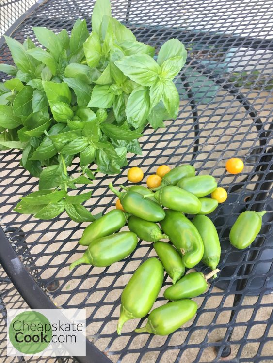 basil and peppers