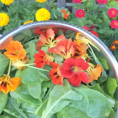 flowers and lettuce in a bowl