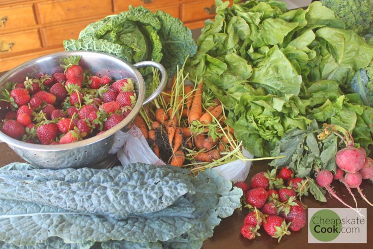 Our CSA basket haul on the table