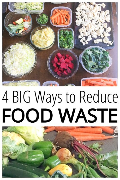 Reduce Food Waste Pingraphic