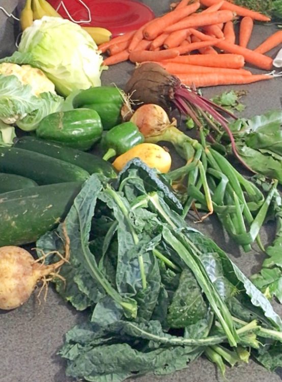 A pile of veggies in danger of going to waste