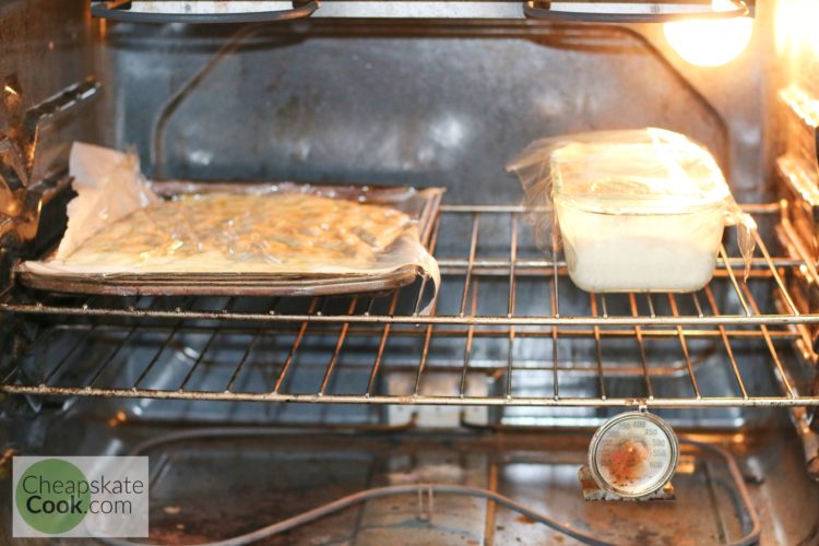 sourdough flatbread rising in oven