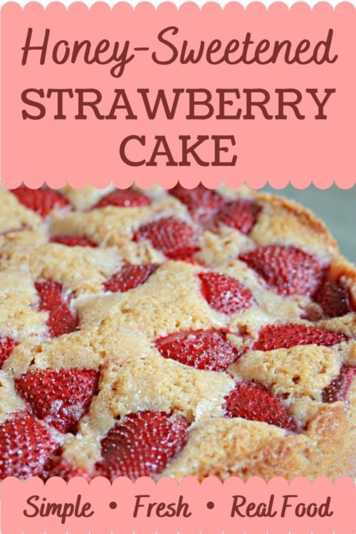 strawberry cake pin