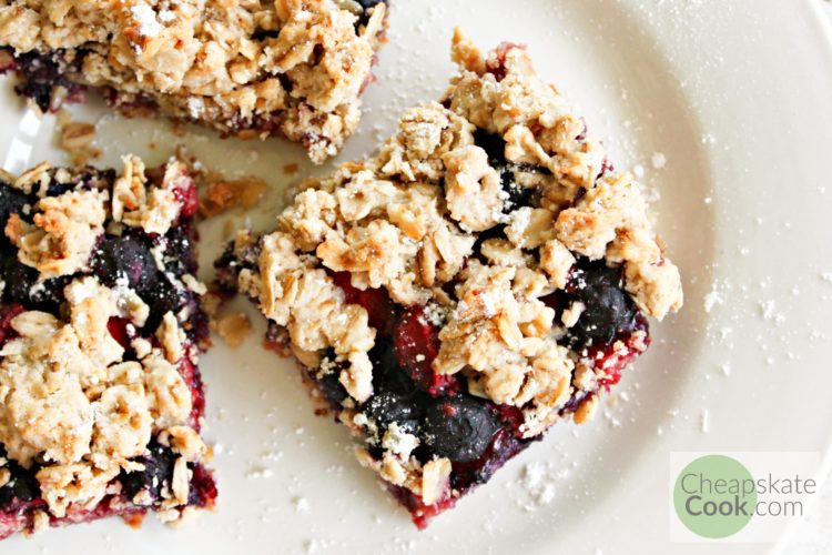 fruit and oat bars