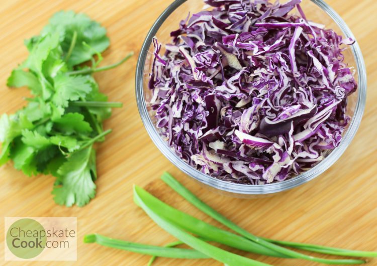 cabbage, cilantro, and green onions