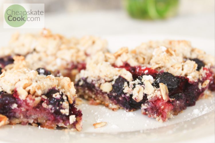 fruit and oat bars side view