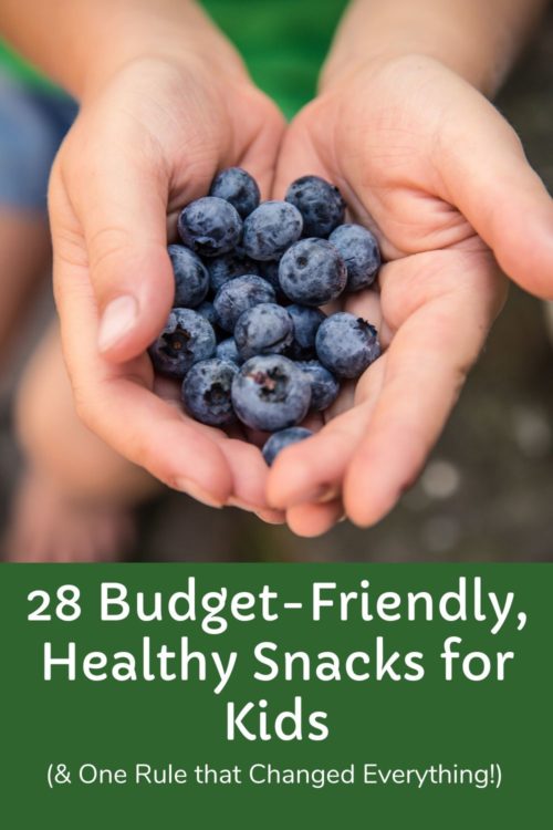 cheap healthy snacks pin