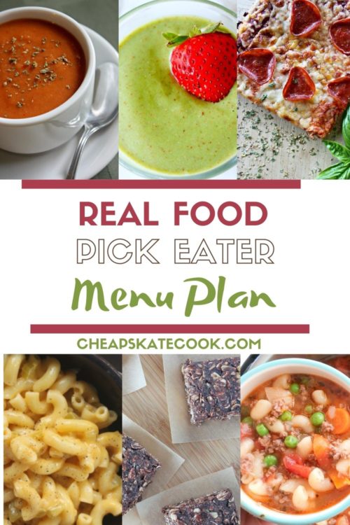 picky eater menu plan pin