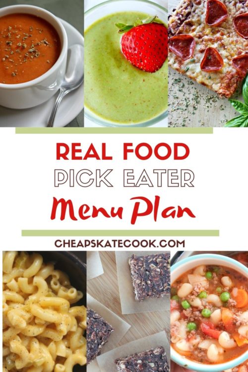 picky eater menu plan pin