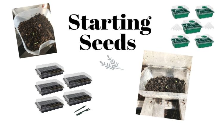 starting seeds tools