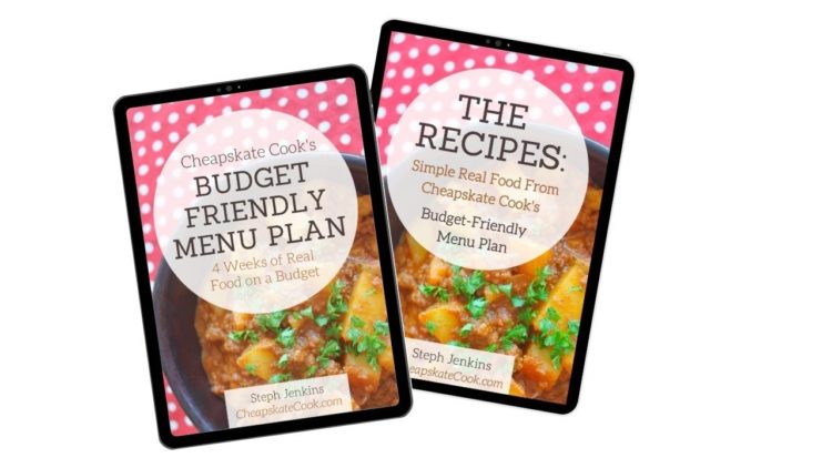 menu plan and recipes book to help you with goals