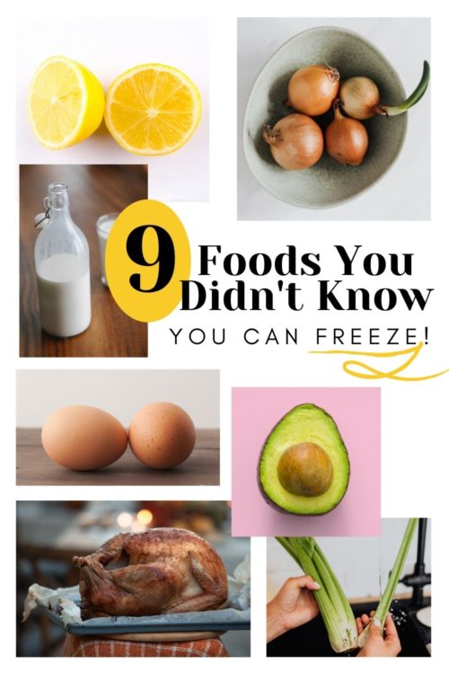 freeze foods pin