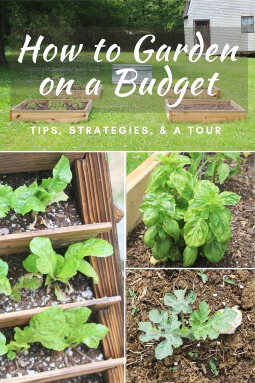 Garden budgeting tips