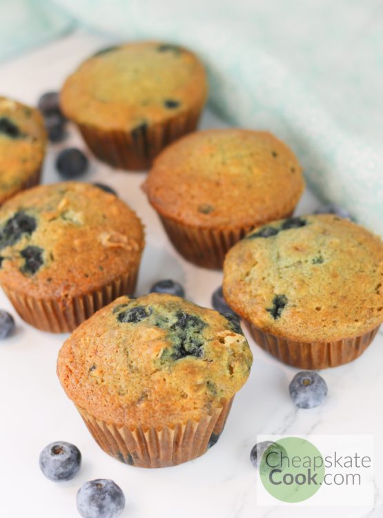 blueberry muffins lined up