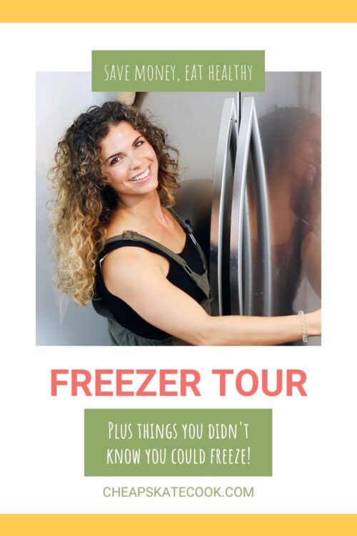 freezer tour pin - steph hugging a fridge