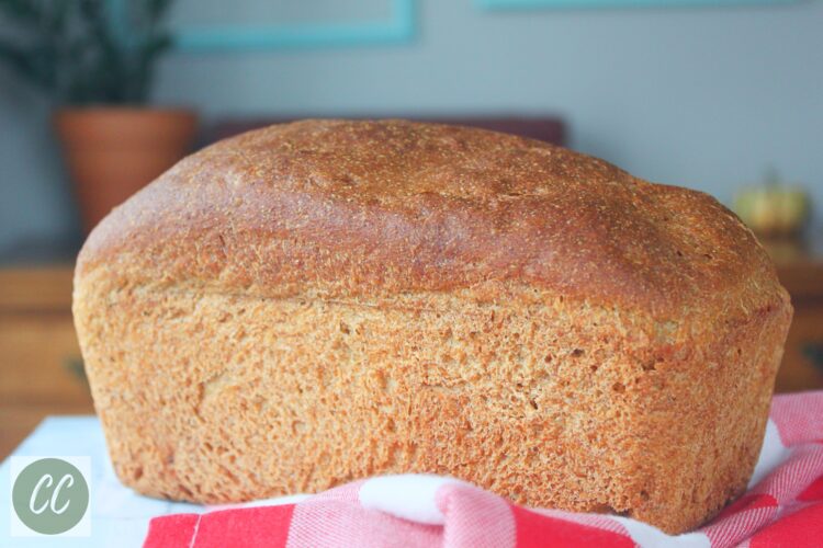 whole wheat bread