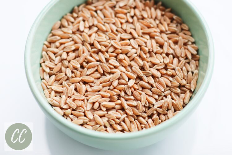 close up of whole wheat berries in a bowl