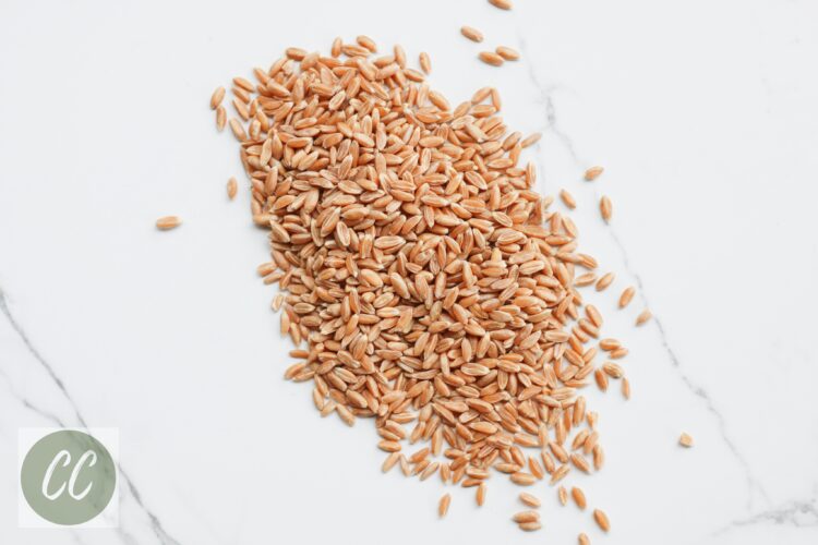 whole wheat berries on a counter